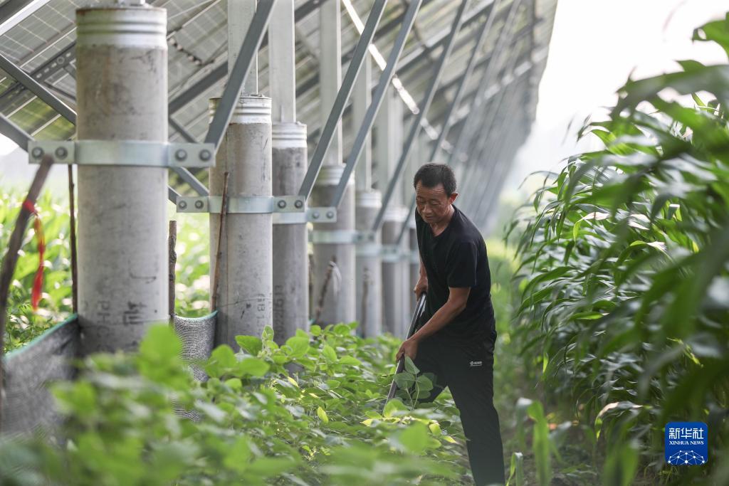 美高梅注册的国家
